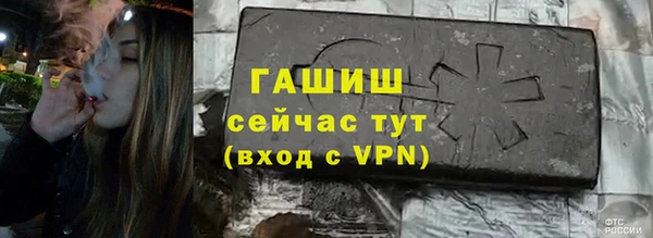 сатива Инта