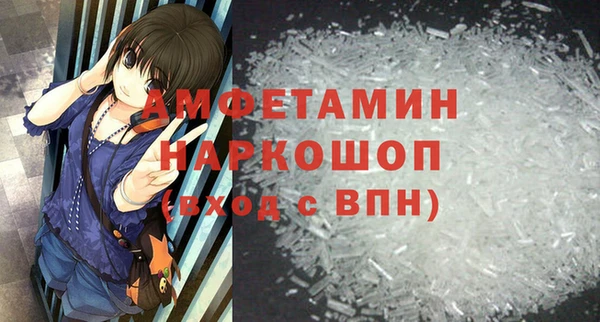 сатива Инта