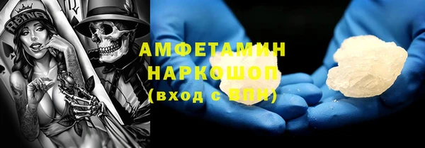 сатива Инта