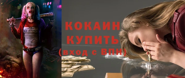 дмт Инсар