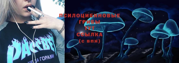 сатива Инта