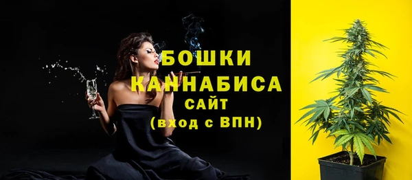дмт Инсар