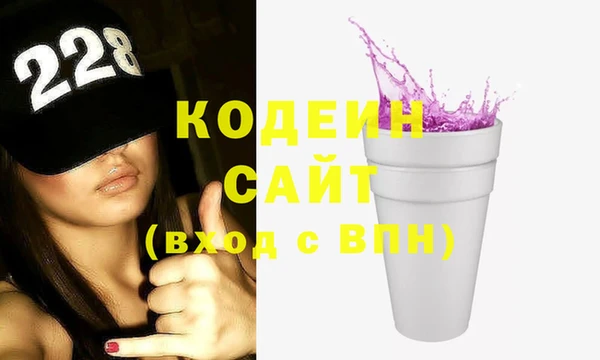 дмт Инсар