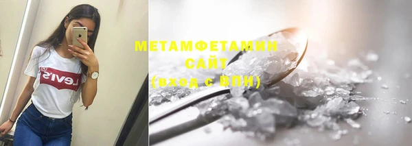сатива Инта