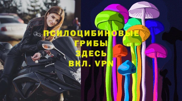 сатива Инта