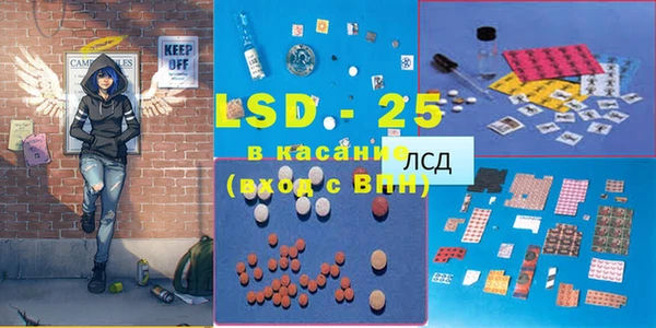 сатива Инта