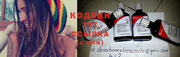 сатива Инта