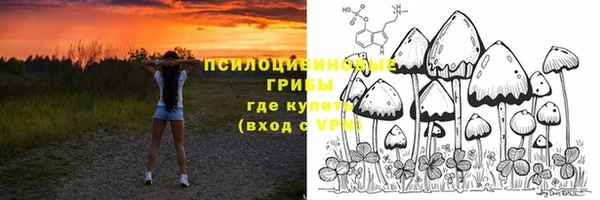 дмт Инсар