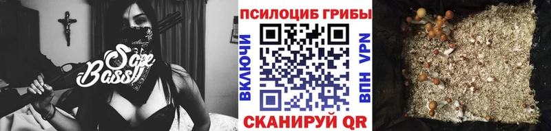 Купить закладки  Кузнецк  Псилоцибиновые грибы прущие грибы 